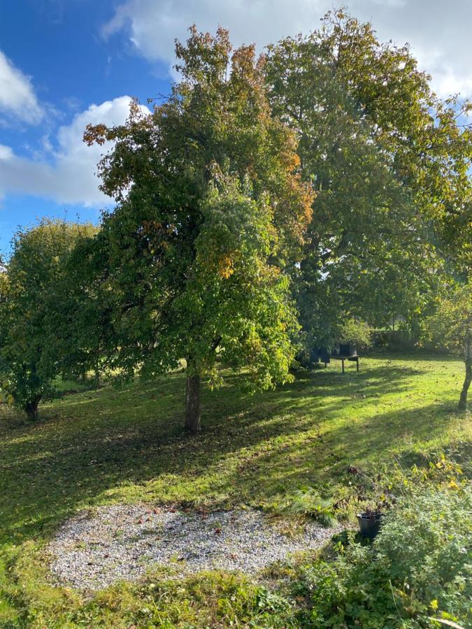 Appartamento Les Pampas Montbronn Esterno foto